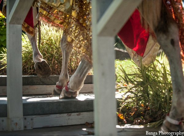 indian wedding tradition baraat