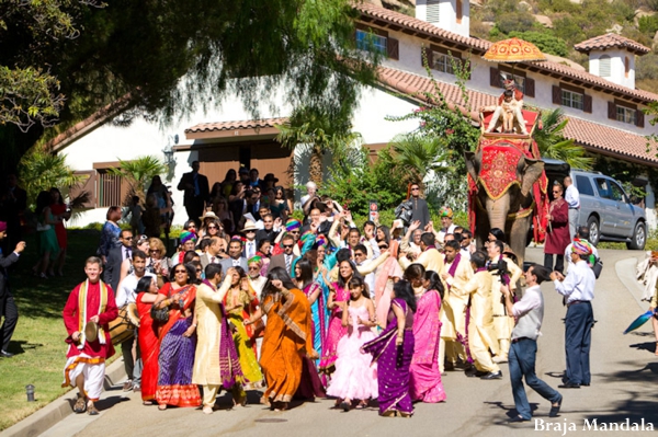 indian-wedding-colorful-baraat-elephant