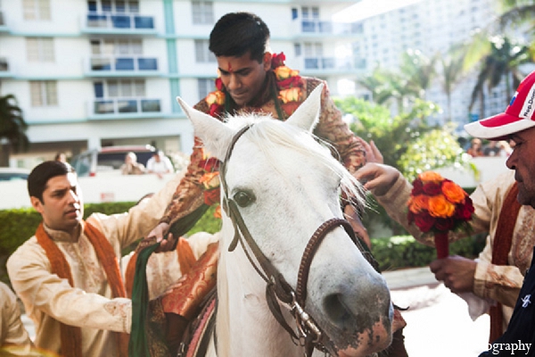 indian wedding groom baraat horses