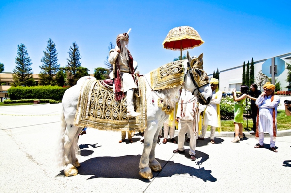 Indian Wedding Baraat White Horse Traditional Photo 5236