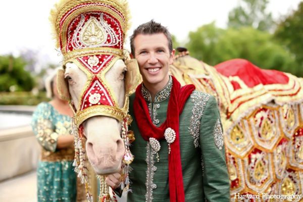 indian wedding baraat horse