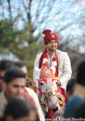 indian wedding groom baraat horse