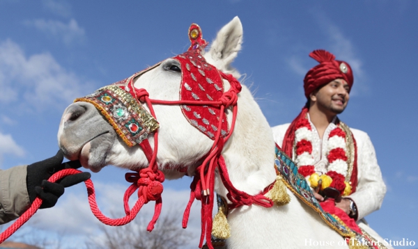 Indian Wedding Groom Baraat White Horse Traditional Photo 6045