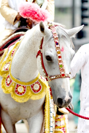 indian wedding baraat horse