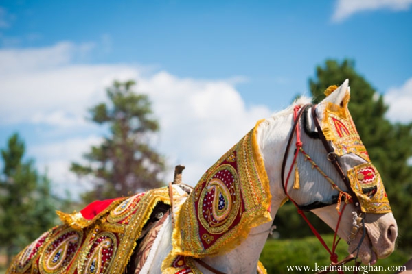 indian-wedding-baraat-horse