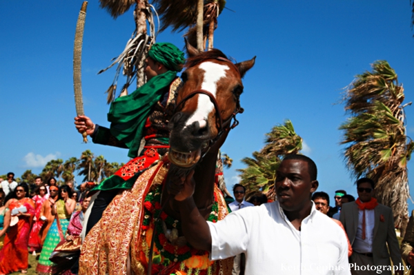 indian-wedding-horse-baraat-celebration