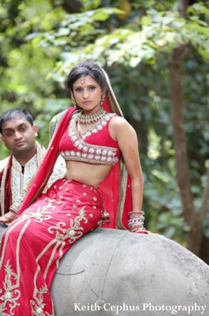 indian-wedding-portrait-bride-outdoors