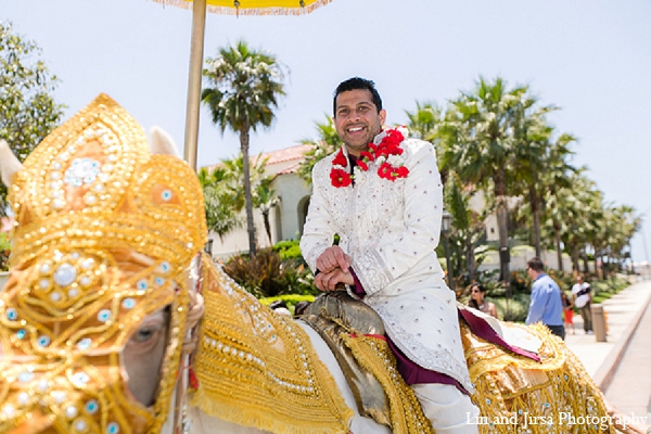 indian wedding groom baraat horse