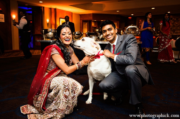 indian wedding bride groom portraits dog