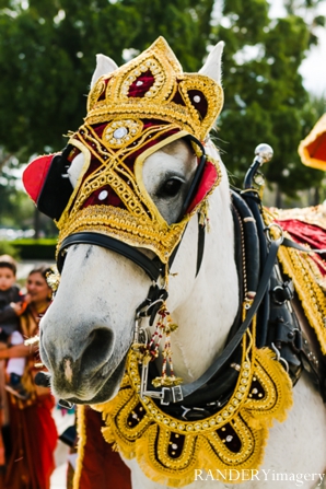 indian wedding baraat traditional celebration