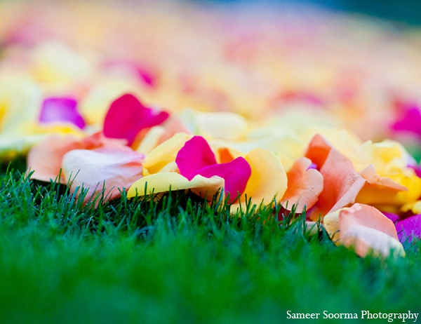 indian wedding venue rose petals decor