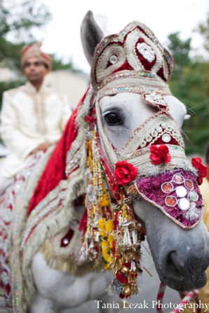 indian-wedding-baraat-groom-horse