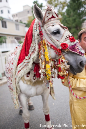 indian-wedding-baraat-horse