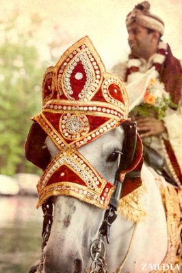 indian-wedding-horse-white-tradtional-baraat