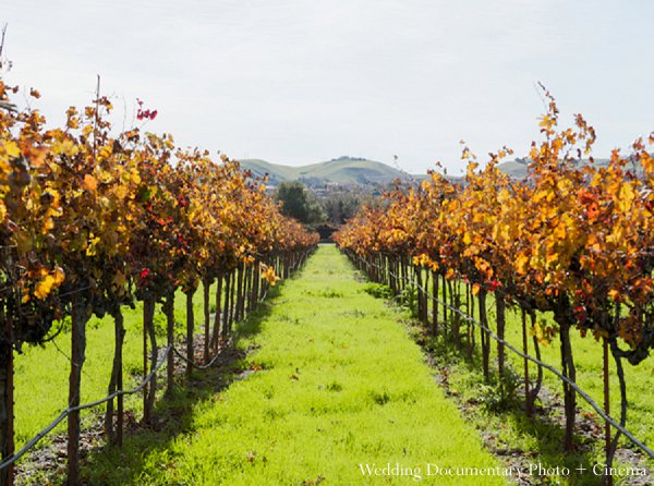 indian wedding venue winery