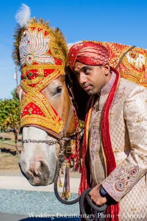 indian-wedding-groom-horse-baraat-tradtional