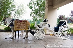 A horse and carriage baraat for an Indian Fusion wedding.