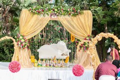 An Indian bride and groom wed in an Hindu wedding ceremony.