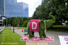 An elephant display at an Indian wedding ceremony.