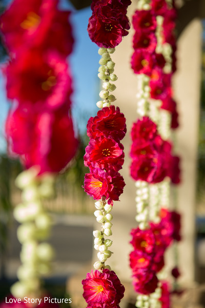 Floral and Decor