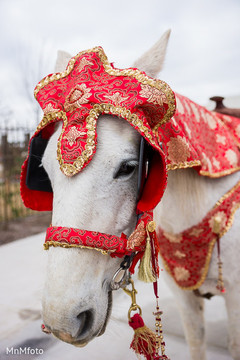 An Indian bride and groom wed in a traditional Hindu ceremony.