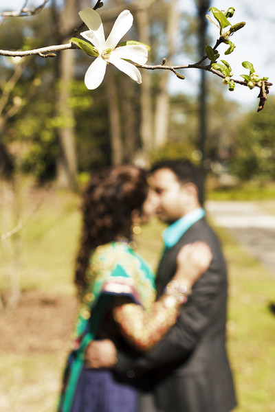 Engagement Portraits