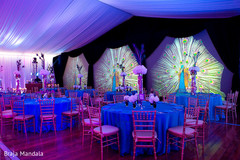 This amazing peacock-themed reception is a must-see!