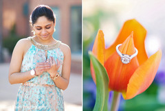 Engagement portraits