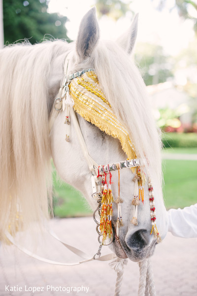 Baraat