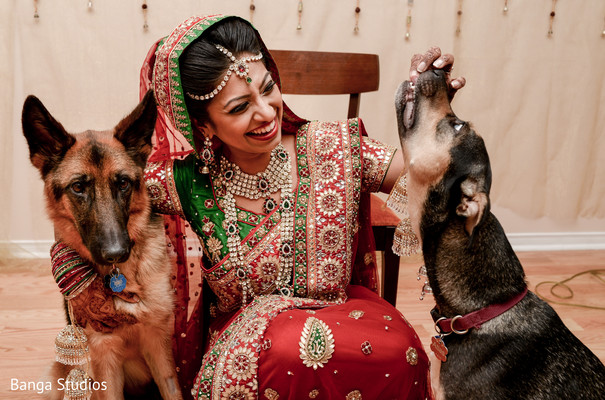 Bridal Portrait