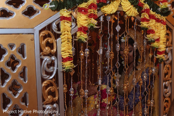 Mehndi Celebration