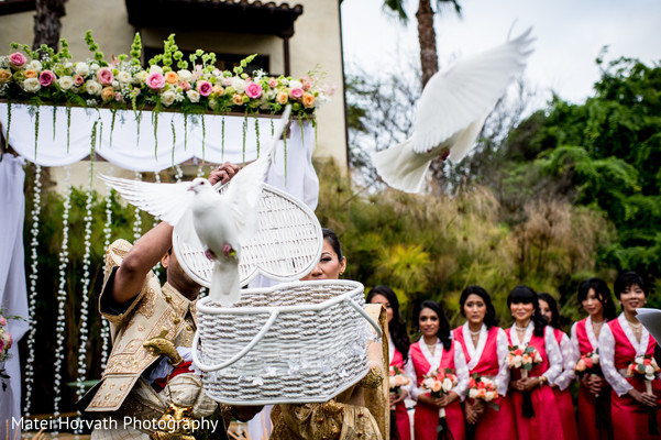 Flying Doves