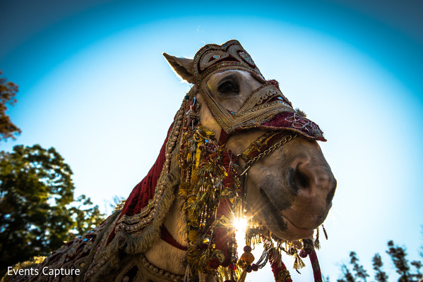 Baraat