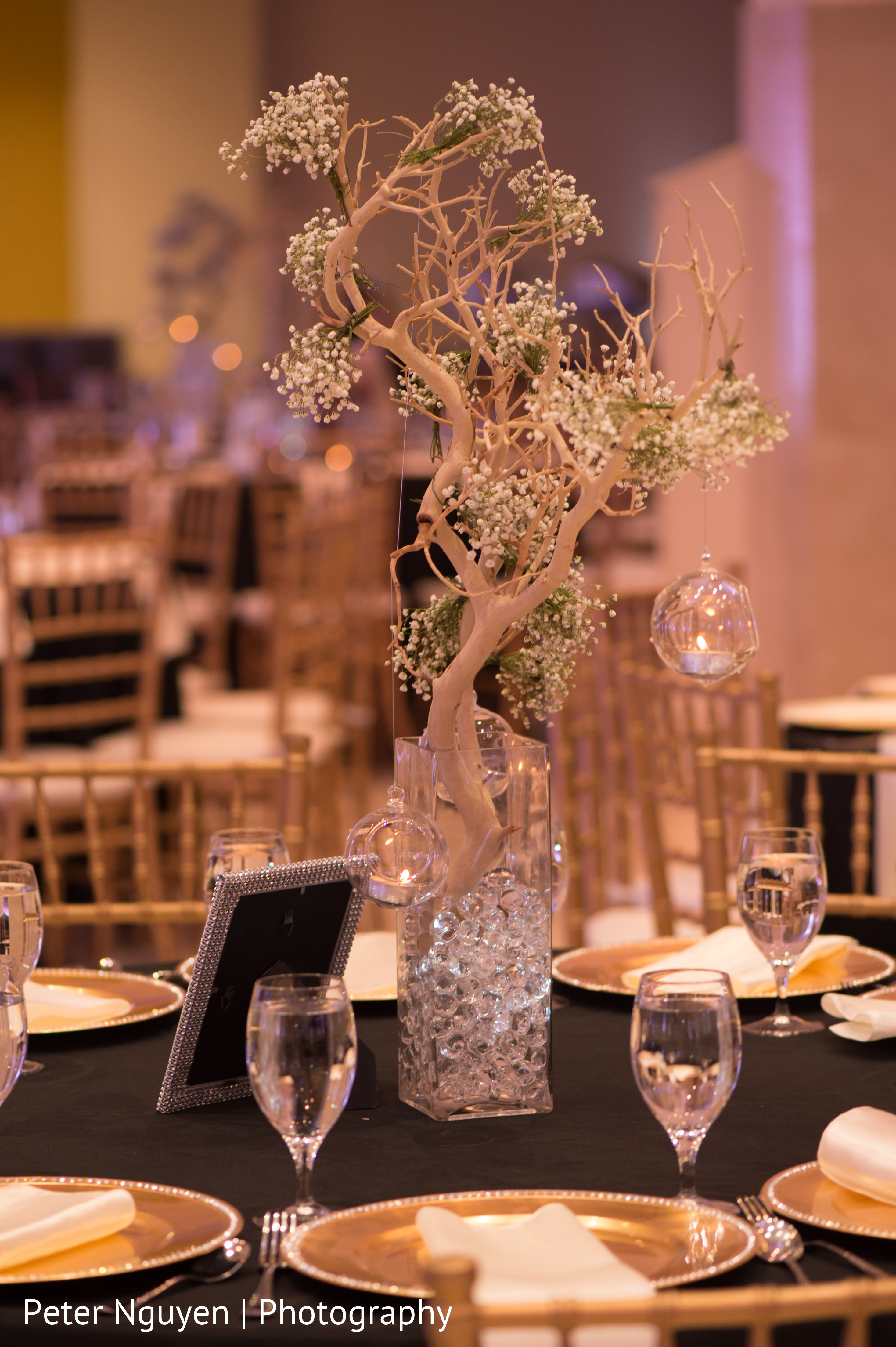 Reception Decor in Atlanta, GA Indian Wedding by Peter Nguyen