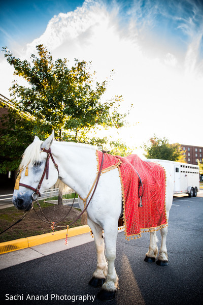 Baraat