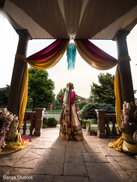 Bridal Portrait