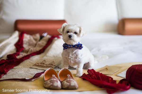 Groom Getting Ready