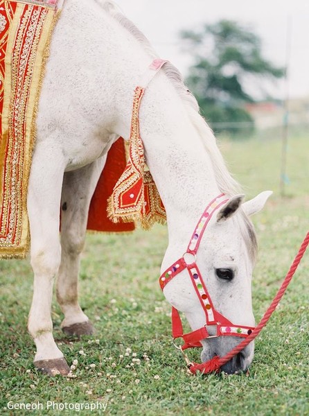 Baraat