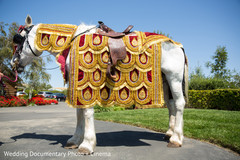 The groom arrives in style during his baraat procession!