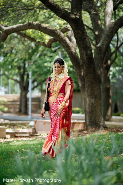 Bridal Sari