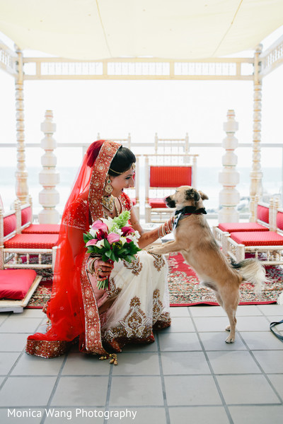 Bridal Portrait