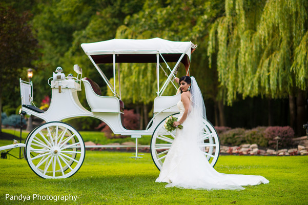 Bridal Portraits