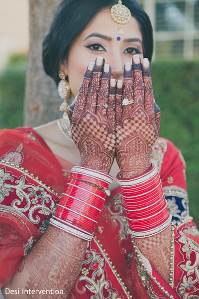 Bridal Portraits