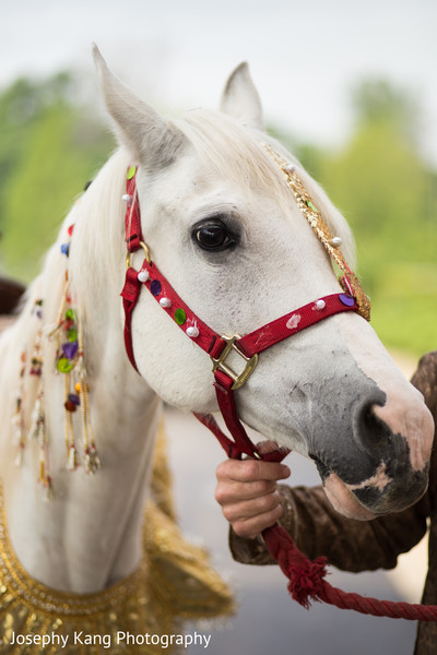 Baraat