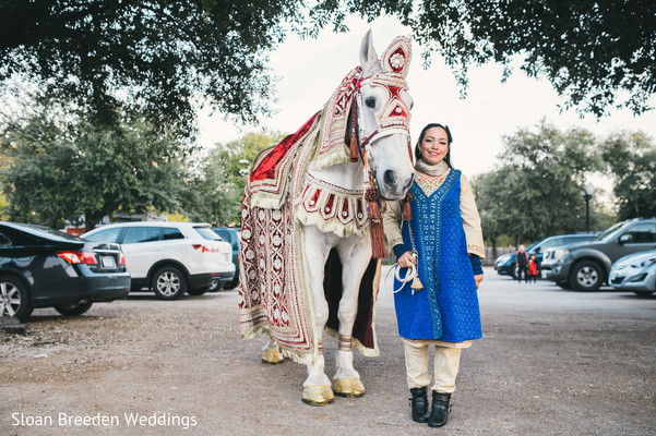 horse for baraat