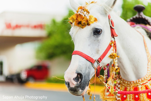 baraat