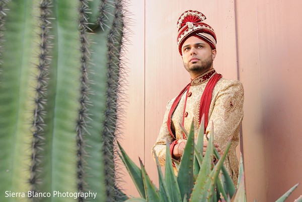 Groom Portrait