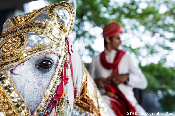 Indian wedding baraat with white horse.